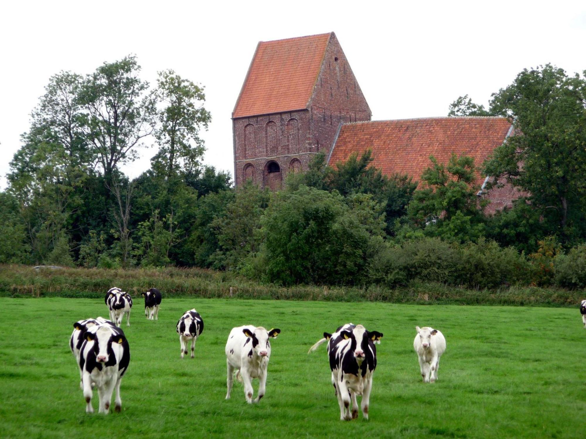 Ferienhaus Ronny Hinte Exterior foto